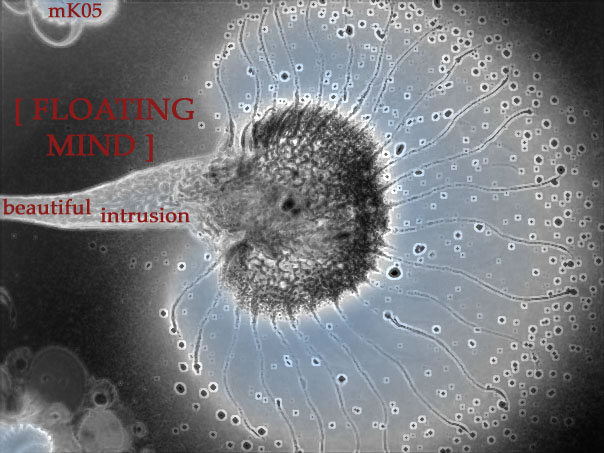 mK05 - Beautiful Intrusion EP - by Floating Mind (monoKraK) for musickollektiv.org
