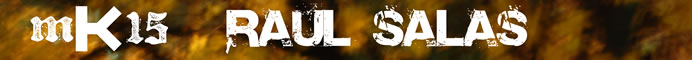 mK15 Raul Salas on musickollektiv.org